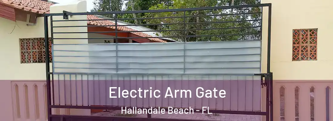 Electric Arm Gate Hallandale Beach - FL