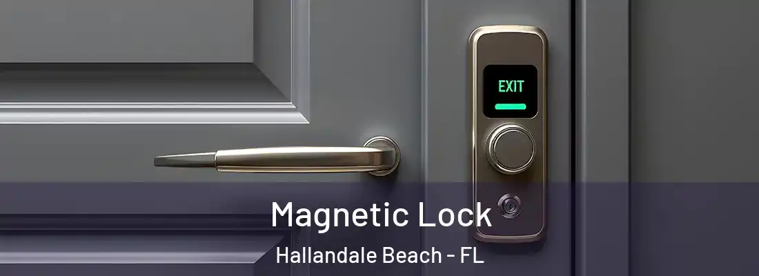 Magnetic Lock Hallandale Beach - FL